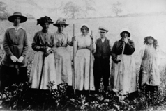 Mrs W.R. Deakin with fruit pickers in the Vale of Evesham