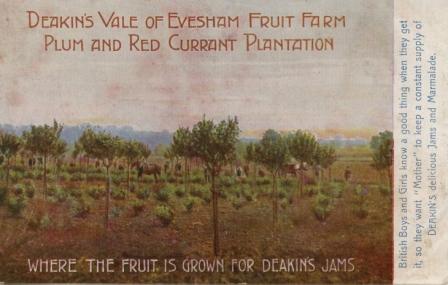 Deakin's jam in the Vale of Evesham